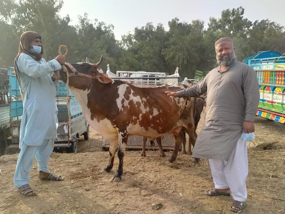 meat distribution to deserving famalies