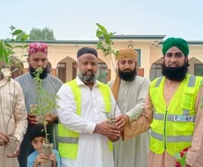 Tree planting Al Habib