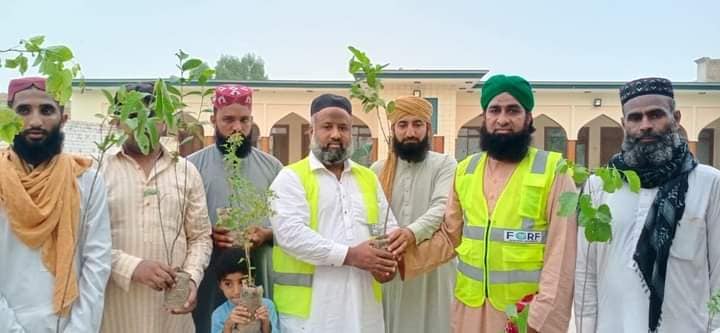 Tree planting Al Habib