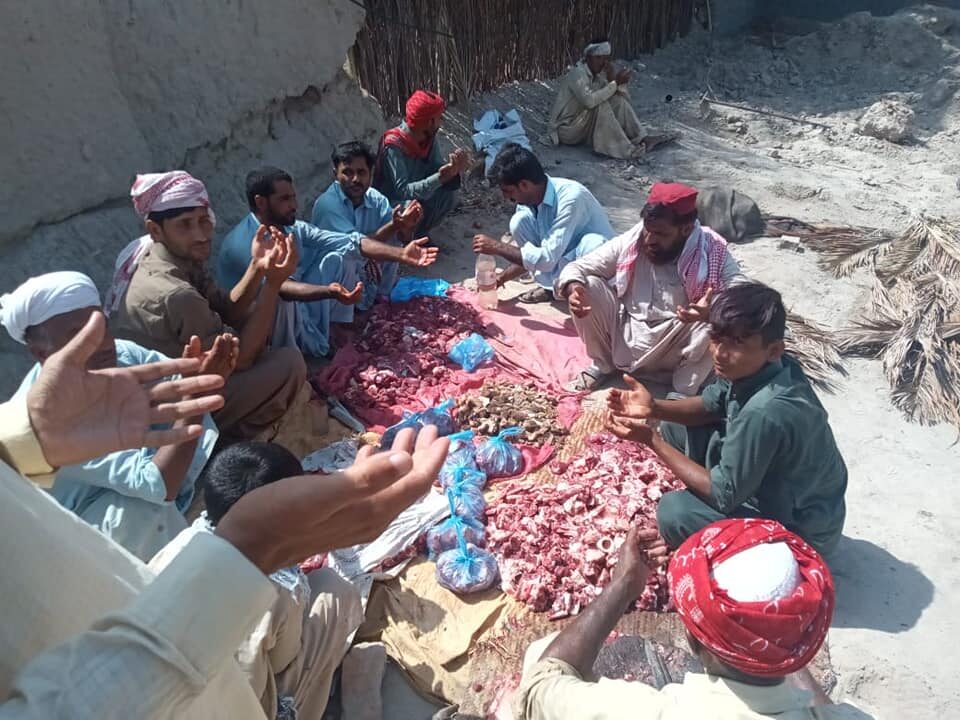 meat distribution