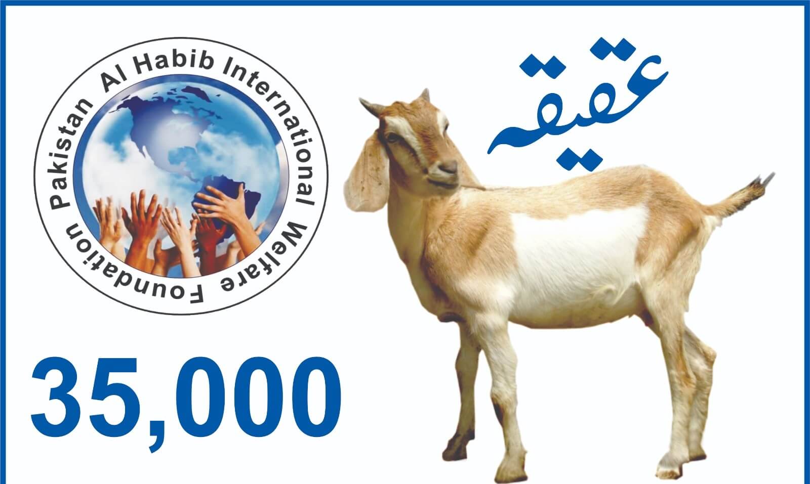 Bakra, Aqiqa